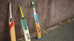 Cricket bat industry in Kashmir stares into oblivion amid growing willow cleft shortage-ayh