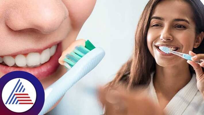 How Oral Bacteria Can Affect The Lungs How Oral Bacteria Can Affect The Lungs