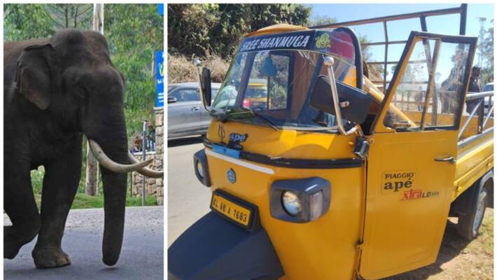 autos parked in munnar were vandalized locals says padayappa elephant did it autos parked in munnar were vandalized locals says padayappa elephant did it