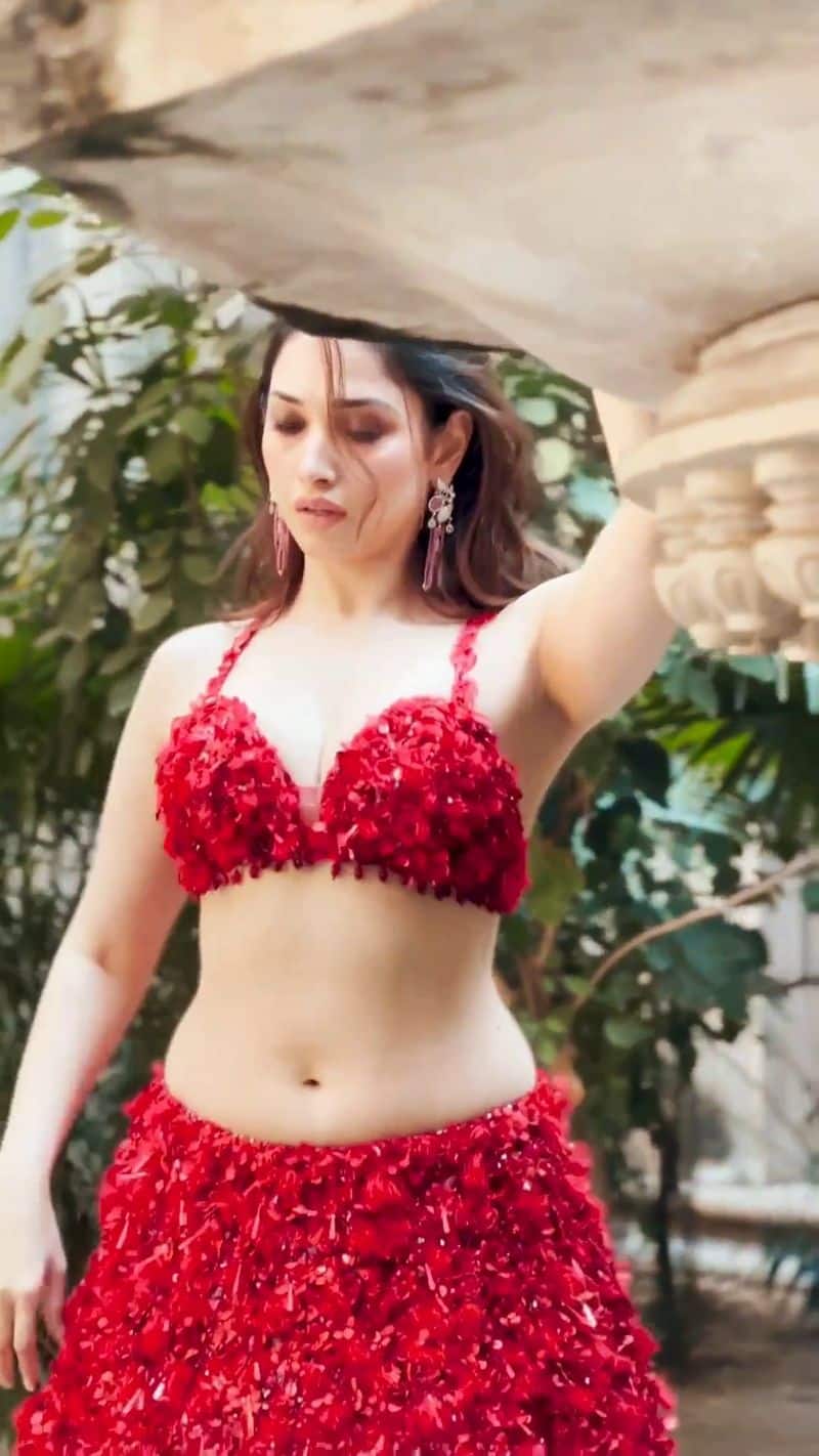 Tamannaah Bhatia Dazzles hot Outfit video vijay varma comment goes viral