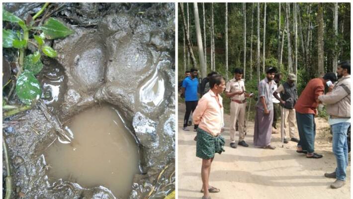 ponmudikotta in tiger fear locals to go on indefinite strike from monday ponmudikotta in tiger fear locals to go on indefinite strike from monday