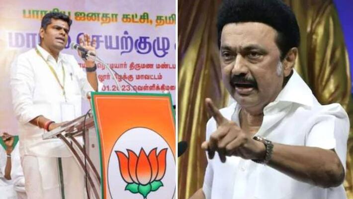 What are the 9 resolutions passed in the TamilnaduBJP working committee meeting What are the 9 resolutions passed in the TamilnaduBJP working committee meeting