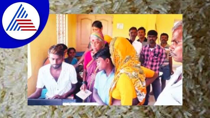 Villagers are refused to buy enriched rice as plastic rice in lakshmeshwar gadag rav Villagers are refused to buy enriched rice as plastic rice in lakshmeshwar gadag rav