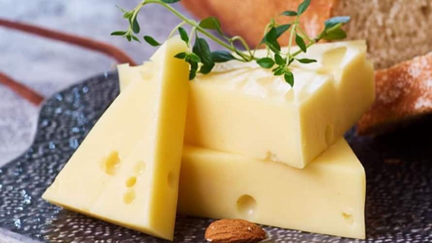 Eat Cheese And Sleep This Job Will Pay You 81 Thousand Rupees Eat Cheese And Sleep This Job Will Pay You 81 Thousand Rupees