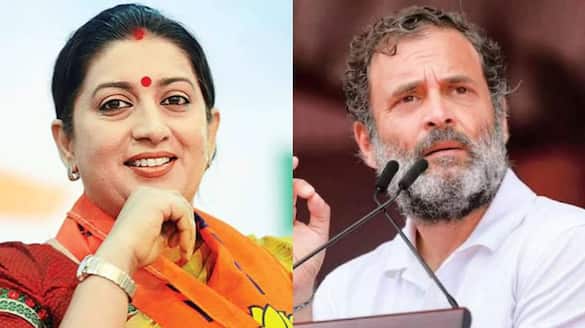 Smriti Irani has finished Gandhi family Amethi paanwala says Congress won't win again; WATCH viral video snt