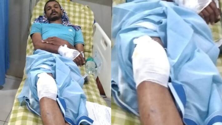 youth injured in Wild boar attack at wayanad youth injured in Wild boar attack at wayanad