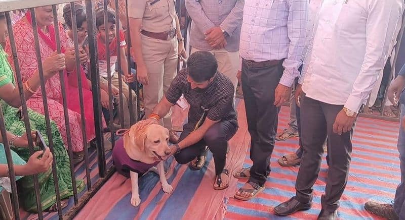 BJP national general secretory CT Ravi in Chikkamagaluru dog show with 777 charlie vcs 