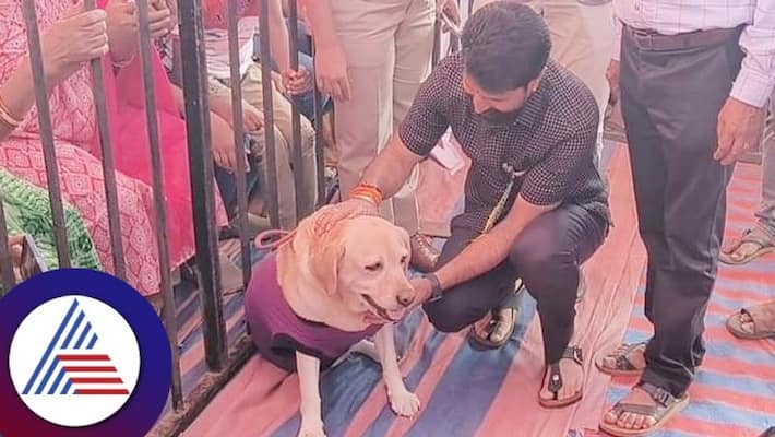 BJP national general secretory CT Ravi in Chikkamagaluru dog show with 777 charlie vcs BJP national general secretory CT Ravi in Chikkamagaluru dog show with 777 charlie vcs