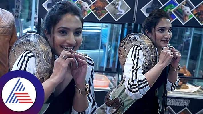Vaishnavi Gowda Rb visits Reptile shop video with 7 lakh blood python vcs Vaishnavi Gowda Rb visits Reptile shop video with 7 lakh blood python vcs
