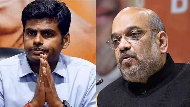 What did Annamalai talk to Amit Shah? The information he himself said