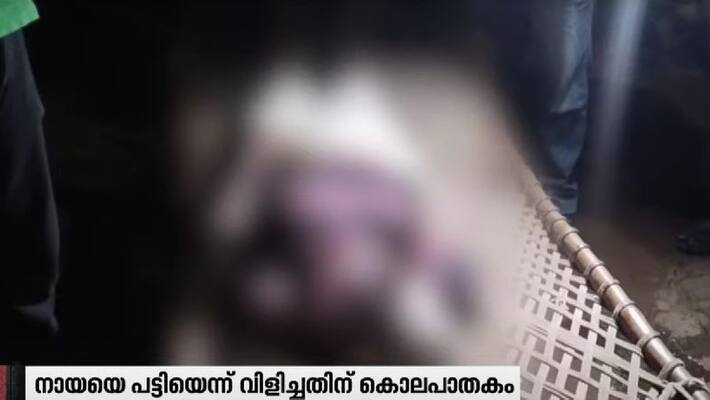 Argument with owner about dogs old man was stabbed to death Argument with owner about dogs old man was stabbed to death