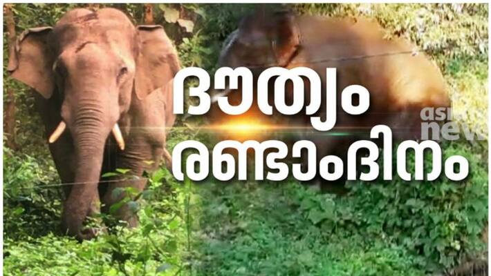 Forest department trying to catch pt 7 elephant in palakkad Forest department trying to catch pt 7 elephant in palakkad