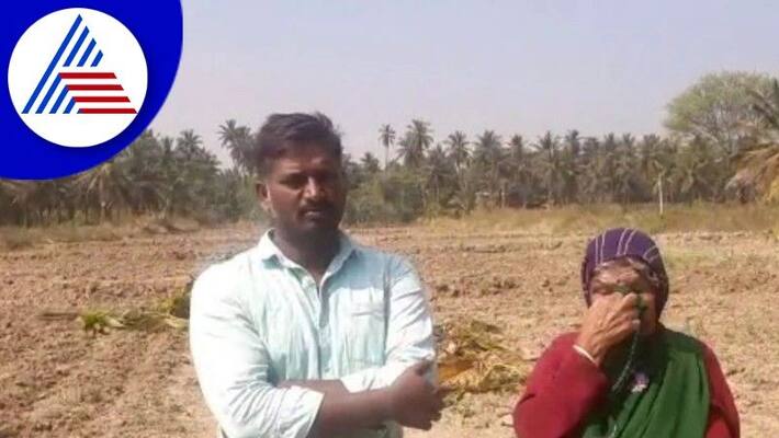 Land dispute Miscreants cut down 84 coconut trees at tumakuru rav Land dispute Miscreants cut down 84 coconut trees at tumakuru rav