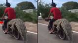 A young man put crocodile on a bike and riding a bike sitting on crocodile akb