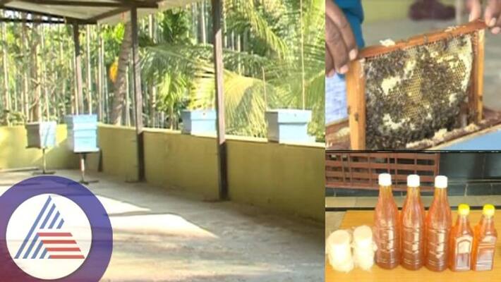 Soap Facewash Made by Honey Huge Demand for Chitradurga Farmer Products sat Soap Facewash Made by Honey Huge Demand for Chitradurga Farmer Products sat