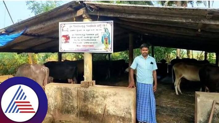 Goshala in Trouble Due to Lack of Funds in Uttara Kannada grg Goshala in Trouble Due to Lack of Funds in Uttara Kannada grg
