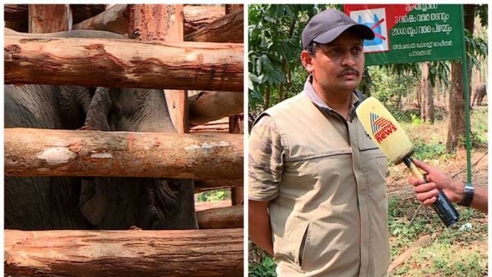 Dhoni will be fed from today, diet plan will be prepared-dfo Dhoni will be fed from today, diet plan will be prepared-dfo