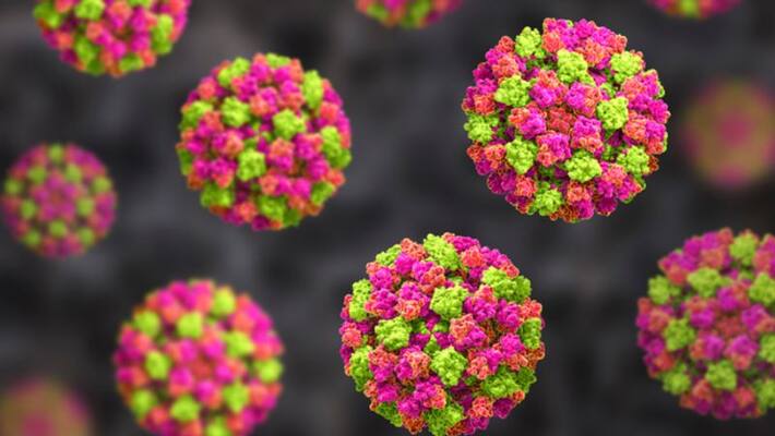 norovirus symptoms treatment precautions all you need to know norovirus symptoms treatment precautions all you need to know