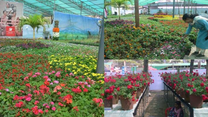 Kozhikode s impressive Pookdal flower show Kozhikode s impressive Pookdal flower show