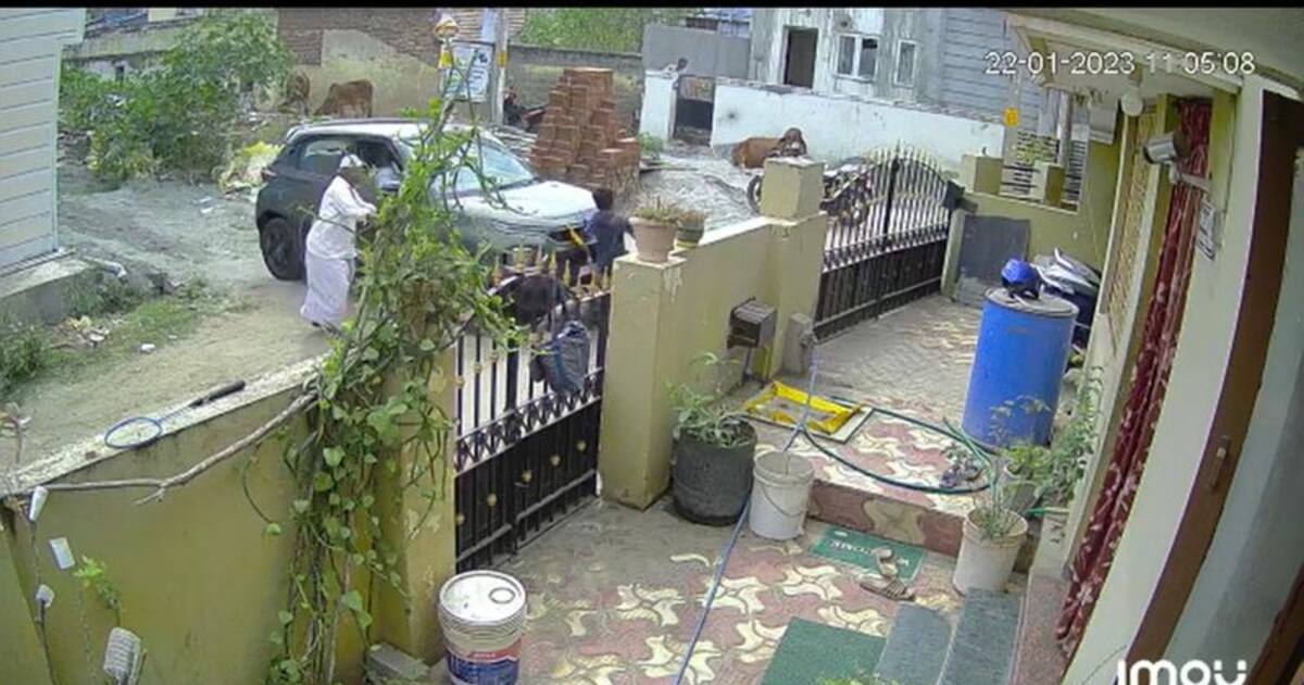 குடியிருப்பு பகுதியில் கார் ஓட்டி பழகியபோது விபரீதம்; சைக்கிளில் சென்ற சிறுவன் பலி