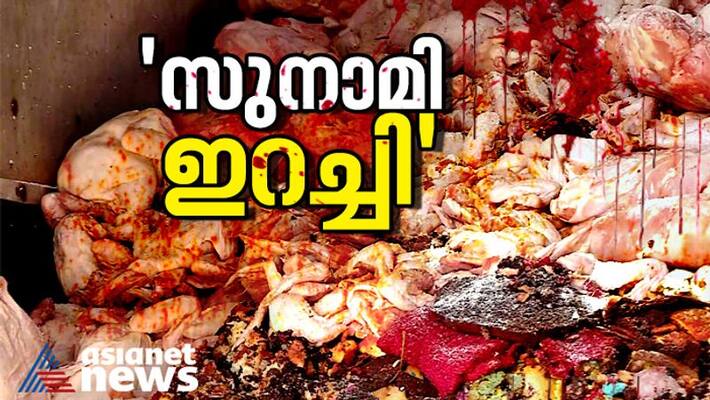 What is Tsunami meat What is Tsunami meat