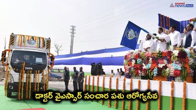 CM Jagan flagged off the second phase of Cattle Ambulances - bsb