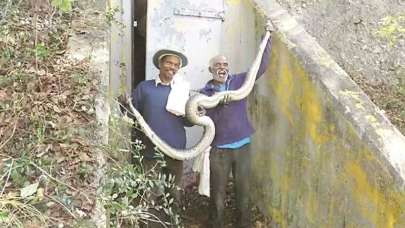 Padma Shri award for famous snake catchers experts 2 irular tribes vadivel gopal and masi sadaiyan from Tamilnadu
