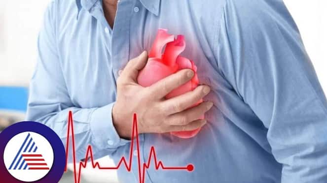 Heart cells do not die immediately after a heart attack Vin