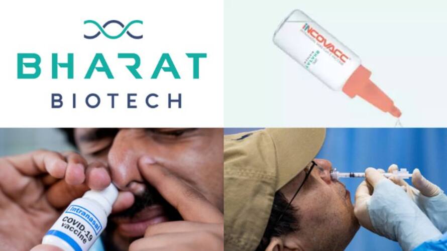 nasal vaccine for covid protection,Incovac officially released nasal vaccine for covid protection,Incovac officially released