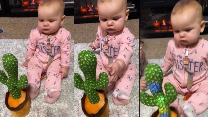 little baby is busy talking with talking cactus watch viral video akb little baby is busy talking with talking cactus watch viral video akb