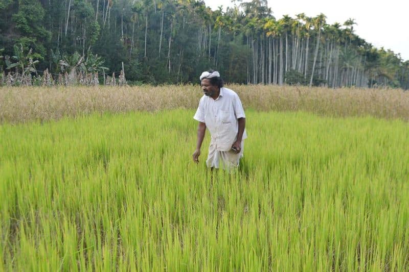 Cheruvayal Raman tribal farmer kerala wins Padma Shri