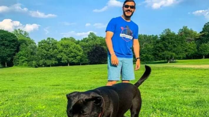 working as dog walker man earns one crore working as dog walker man earns one crore
