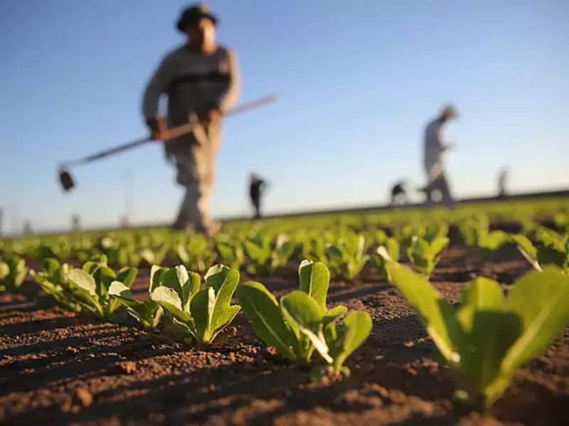 Kerala Ministers visit Israel to study agriculture development 