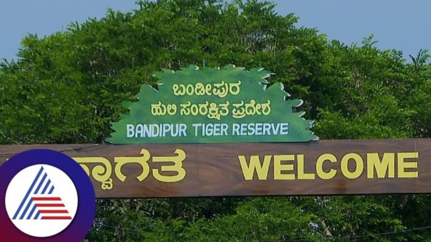 Fireline from Forest Department to Avoid Forest Fire at Chamarajanagar gvd Fireline from Forest Department to Avoid Forest Fire at Chamarajanagar gvd