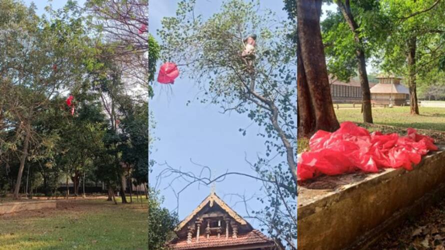 truth behind the red flag found in the banyan tree of Vadakkumnath Temple truth behind the red flag found in the banyan tree of Vadakkumnath Temple