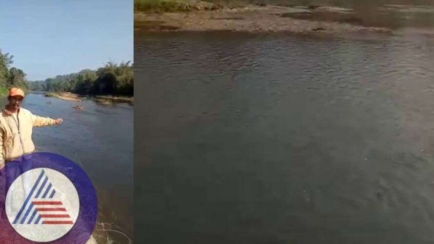Hemavathi riverbed poisoning Chikkamagaluru Hassan Lifeline sting sat Hemavathi riverbed poisoning Chikkamagaluru Hassan Lifeline sting sat