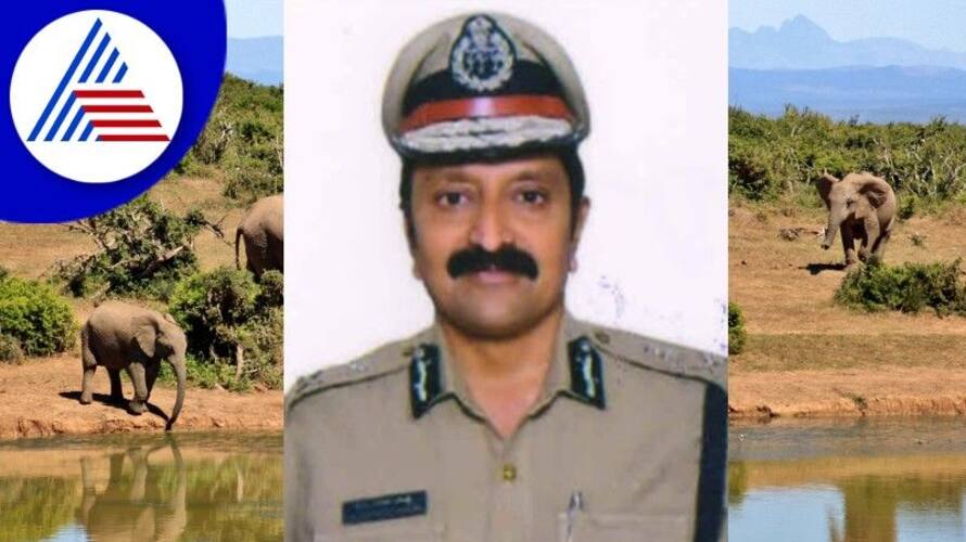 Protection of 14 species of 100 wild animals species in one year CID info rav Protection of 14 species of 100 wild animals species in one year CID info rav