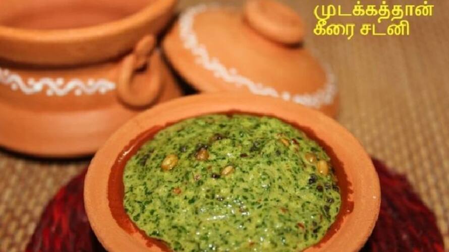 How to make Mudakathan Spinach Chutney in Tamil How to make Mudakathan Spinach Chutney in Tamil
