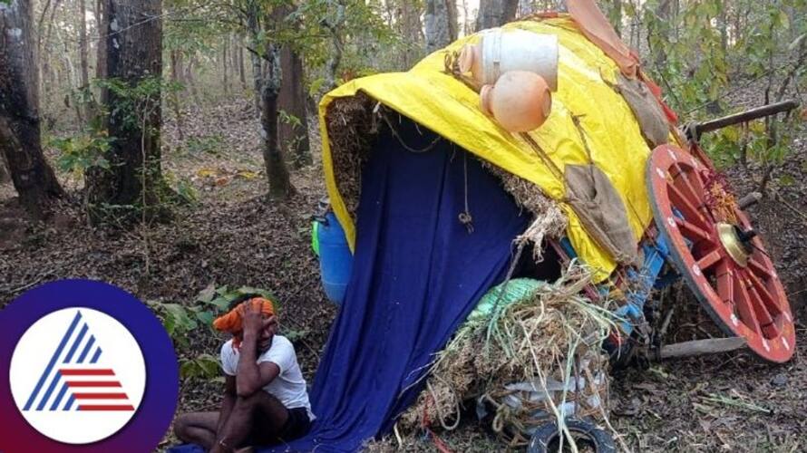 young man dies after wheel of cart falls on him at uttara kannada gvd young man dies after wheel of cart falls on him at uttara kannada gvd