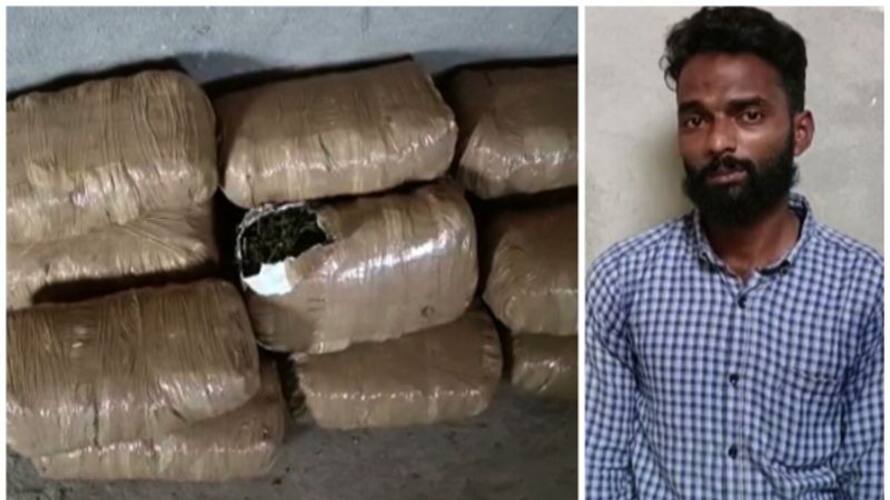30 kg of ganja seized from house under construction in kasarkod 30 kg of ganja seized from house under construction in kasarkod