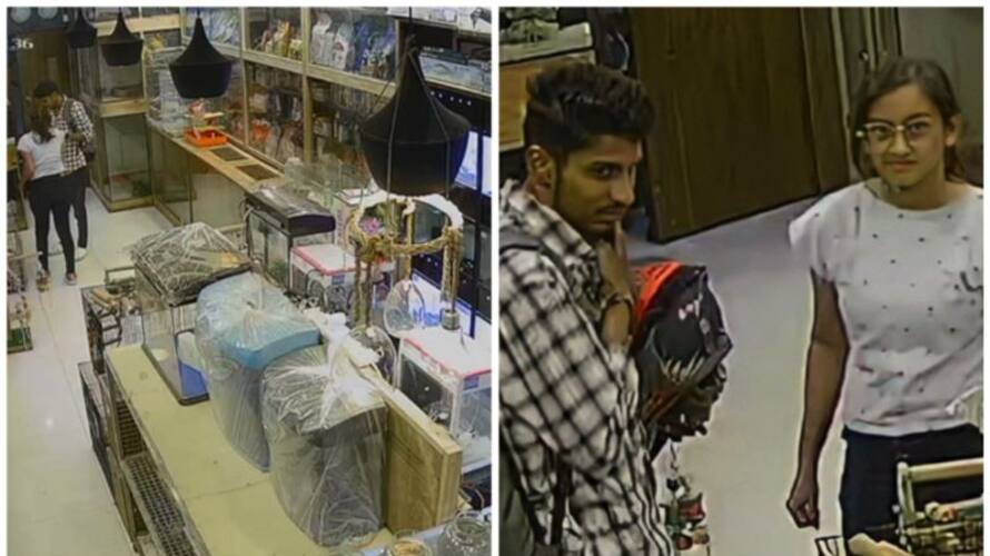 pet dog from shop stolen in cochin pet dog from shop stolen in cochin