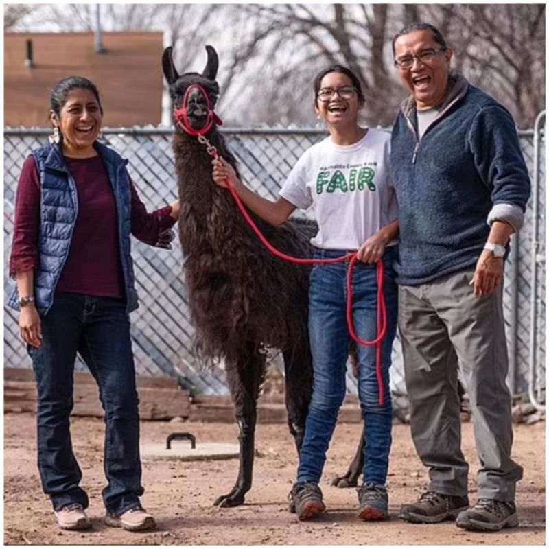 World s oldest LLAMA celebrates his 27 th birthday