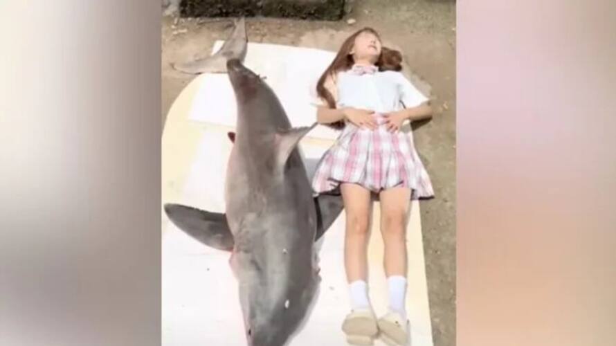 blogger fined 15 lakh after she cooked rare white shark and video released blogger fined 15 lakh after she cooked rare white shark and video released