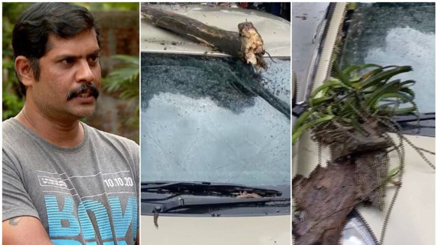 raveling with children a tree branch fell on the car man fight for justice raveling with children a tree branch fell on the car man fight for justice