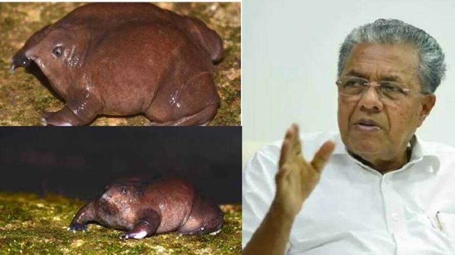 purple frog not declared as kerala official frog vvk purple frog not declared as kerala official frog vvk