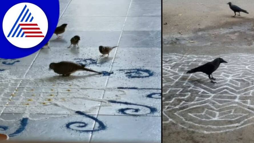 Benefits and reasons of drawing rangoli every morning in front of house skr Benefits and reasons of drawing rangoli every morning in front of house skr