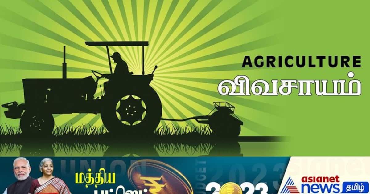 Union Budget 2023: விவசாய ஸ்டார்ட்அப் நிறுவனங்களுக்கு ரூ.20 லட்சம் கோடி கடன்