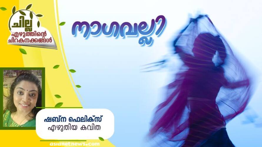 chilla malayalam poem by Shabna Felix chilla malayalam poem by Shabna Felix