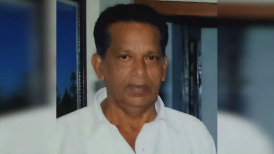 83-year-old died after being attacked by wasp btb 83-year-old died after being attacked by wasp btb