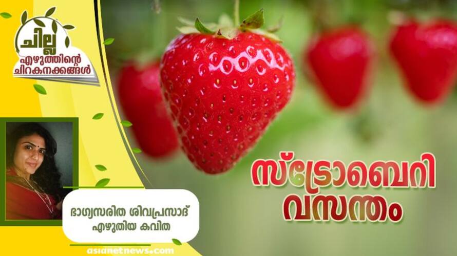 chilla malayalam poem by Bagyasarita Shivaprasad bkg chilla malayalam poem by Bagyasarita Shivaprasad bkg
